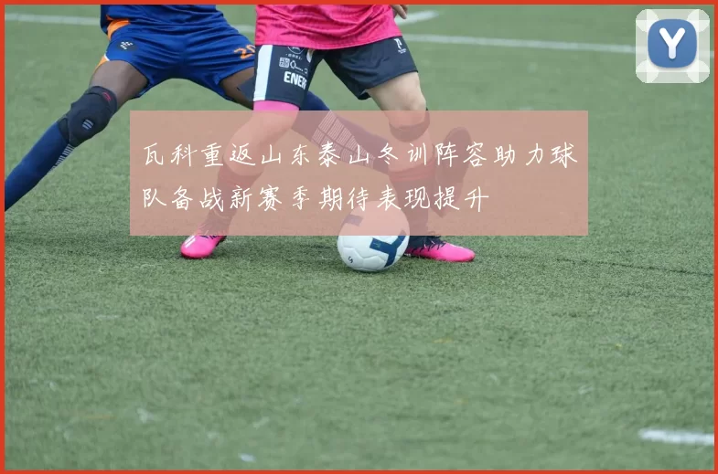 瓦科重返山东泰山冬训阵容助力球队备战新赛季期待表现提升