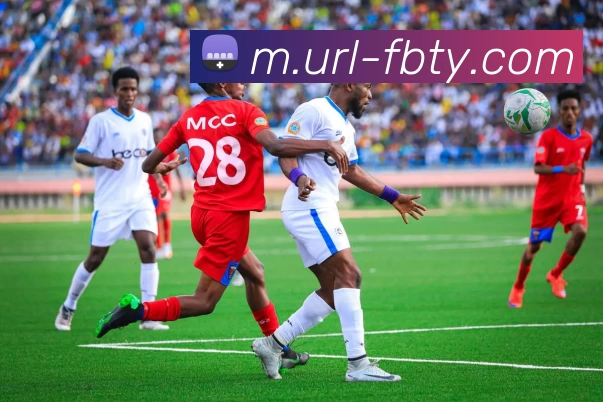 FB体育平台生态图