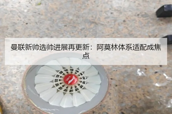 曼联新帅选帅进展再更新：阿莫林体系适配成焦点（FBSports）